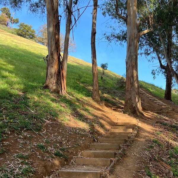Scenic Lookout Berkeley Hills Scenic Lookout