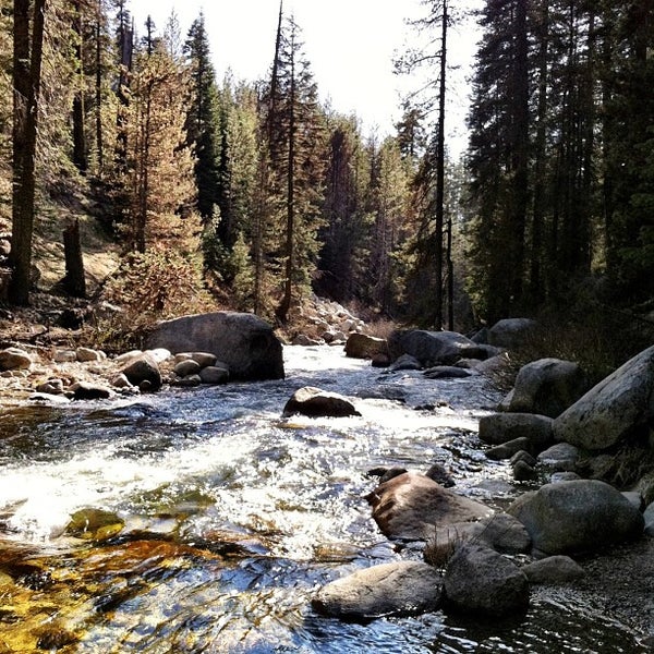 Lodgepole Campground 178 visitors