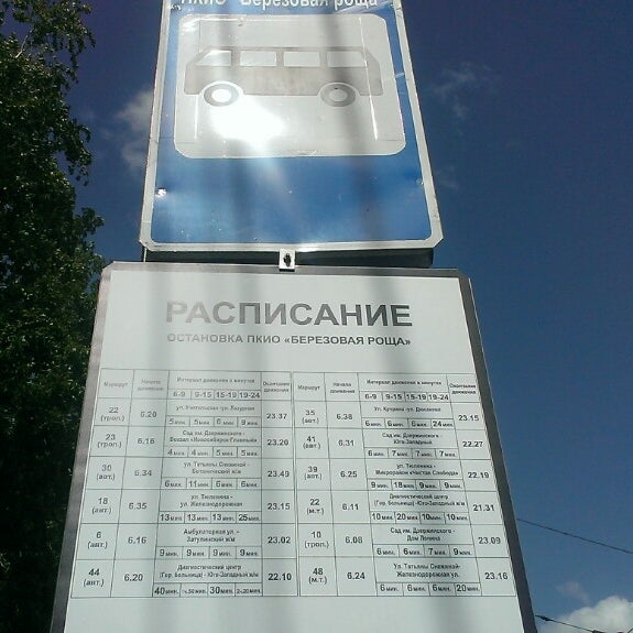 березовая роща автобус. ельниковская роза остановка. автобус ангарск. расписание березовая роща пенза. остановка березовая роща.