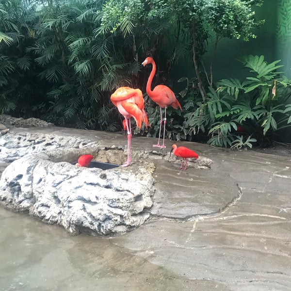 Foto tomada en Texas State Aquarium  por Denise B. el 5/16/2021