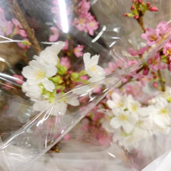 Photos At Hibiya Kadan Style 新橋駅店 2 Tips From 43 Visitors