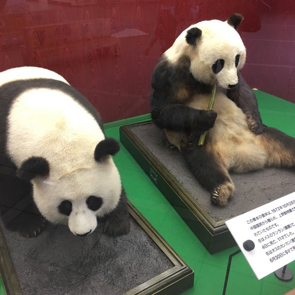 Photos At 多摩動物公園 ウォッチングセンター Animal Shelter In 日野 Photos At 多摩動物公園 ウォッチングセンター Animal Shelter In 日野