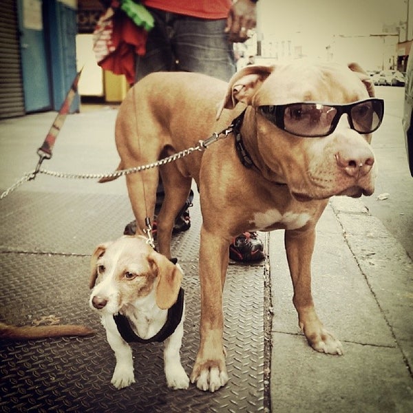 Photos at Tenderloin Police Station Police Station in San Francisco