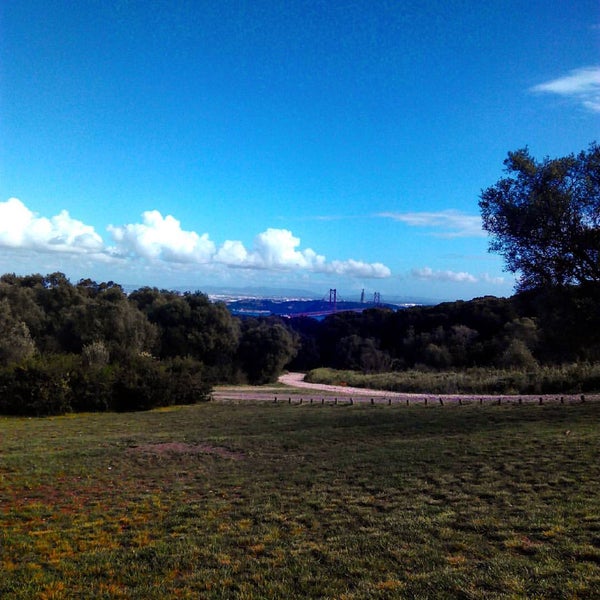 Photos à Anfiteatro Keil do Amaral Ajuda Parque Florestal de Monsanto