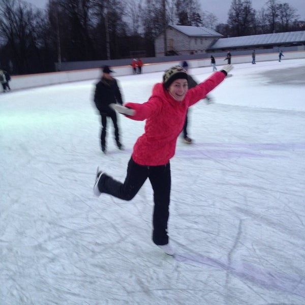 Удельный парк каток