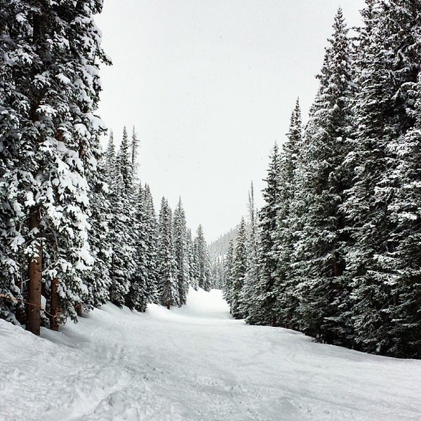 4/1/2014にPaolo P.がAspen Mountain Ski Resortで撮った写真