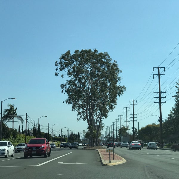 City of Cypress City