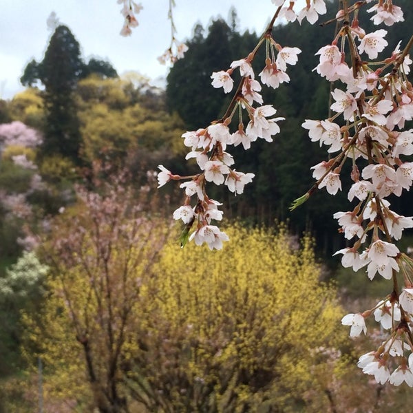 Photos At 祓戸大神 1 Visitor