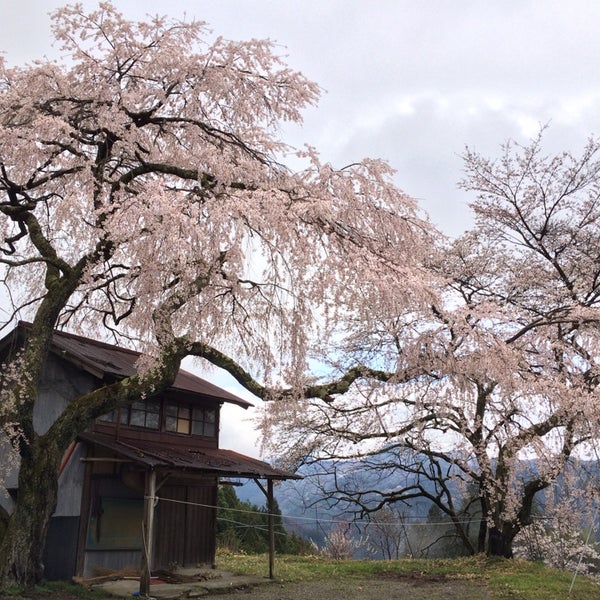 Photos At 祓戸大神 1 Visitor