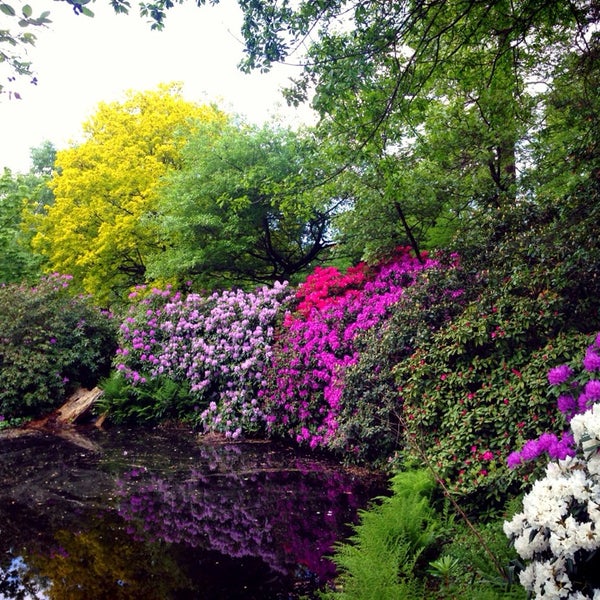 Trompenburg Tuinen & Arboretum KralingenOost Rotterdam, ZuidHolland Trompenburg Tuinen & Arboretum KralingenOost Rotterdam, ZuidHolland