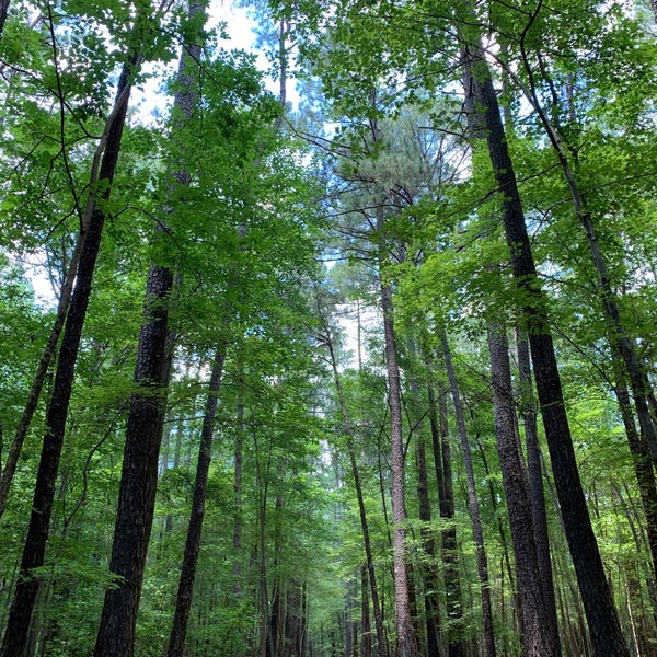 lake crabtree mountain bike trails