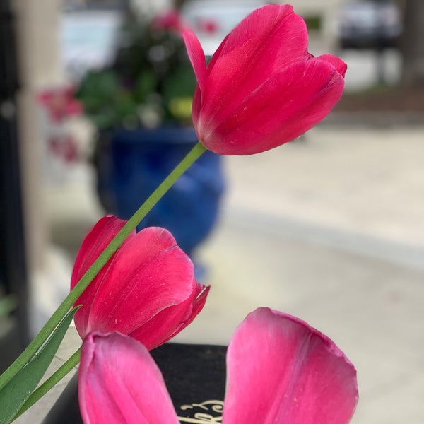 Photo taken at North Hills Shopping Center by Christian A. on 4/8/2019