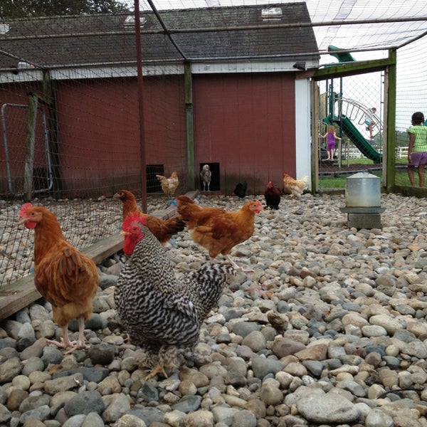 Real Life Farm Farm in Canton