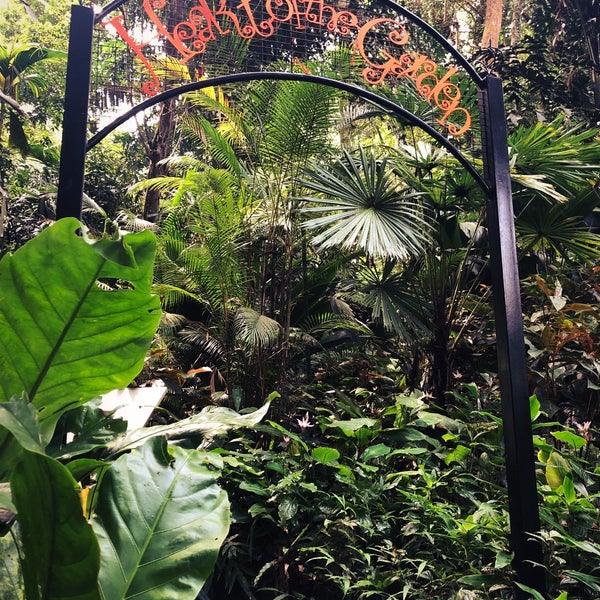 Good place to visit if you’re a nature lover/herbs lover, can learn about the flora & fauna and some history about the oldest trees in this region. If you’re lucky you might stumble upon some monkeys.