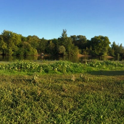 Луг река туман. Брянск супонево андреевский луг. Свенский монастырь брянск. Свенский монастырь брянск. Андреевский луг брянск фото.
