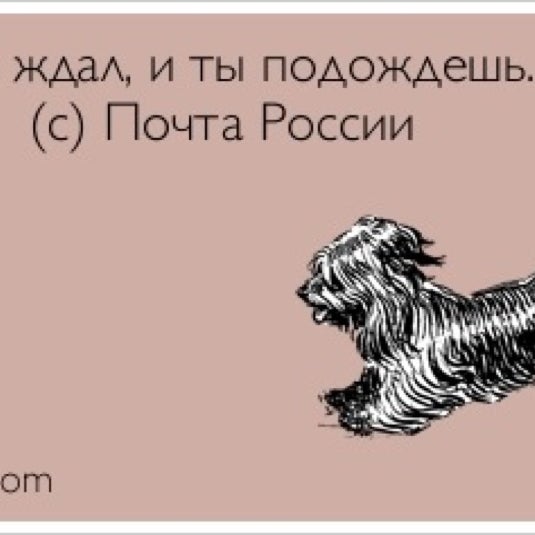 У кошечки боли у собачки боли а у тебя не боли картинки