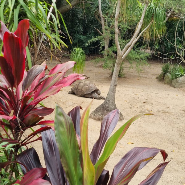 Photo taken at Taronga Zoo by Jan H. on 1/20/2024