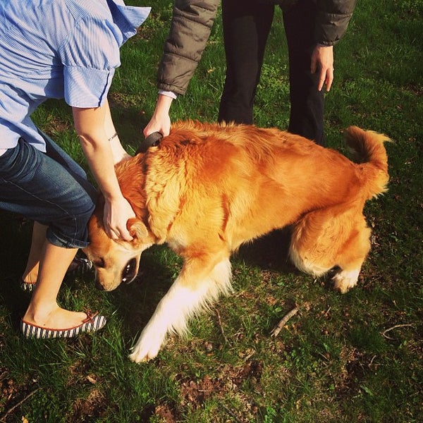 Stonegate Community Center 17 visitors