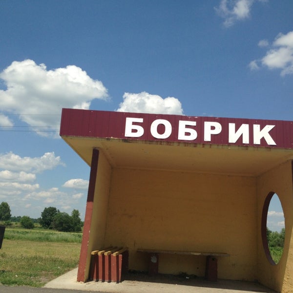 обыкновенный бобр детеныш. бобрики эмблема. милые бобры. доброе утро бобрик. бобрик добрик.