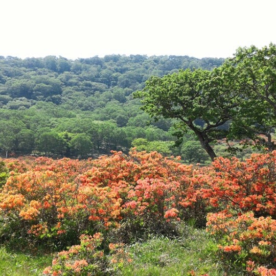 赤城山総合観光案内所 5 Tips From 726 Visitors