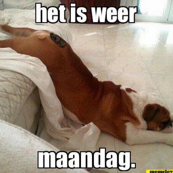 Photos At Beast Of The East Orden lbert Cuyplaan 13