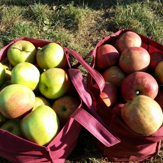 10/8/2012 tarihinde Kin L.ziyaretçi tarafından Applebarn at Taves Family Farms'de çekilen fotoğraf