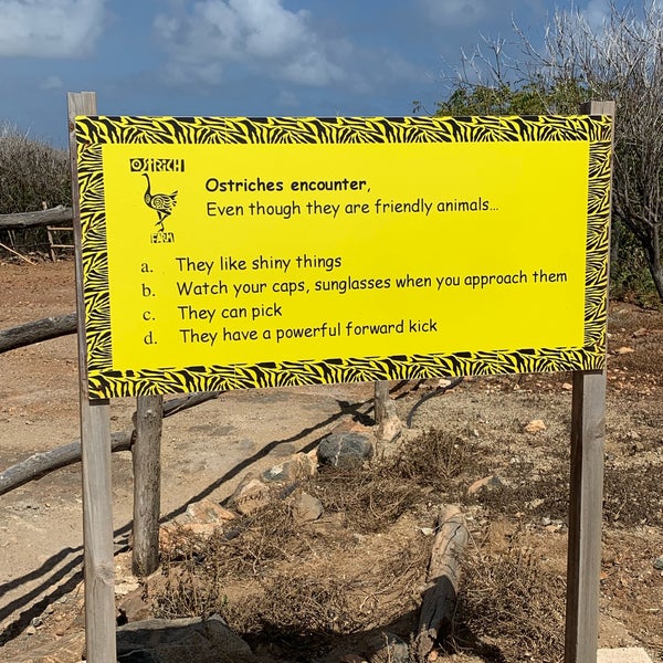 Aruba Ostrich Farm Farm