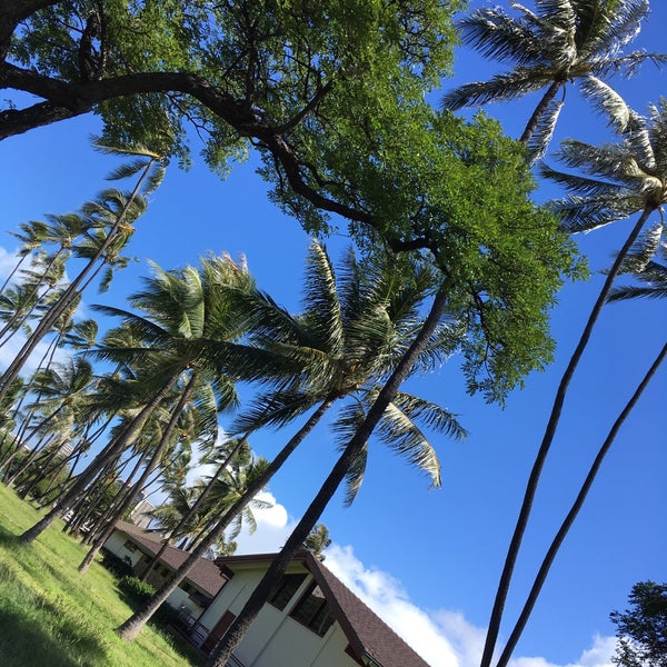 WaikikiKapahulu Public Library Diamond Head Kapahulu St. Louis