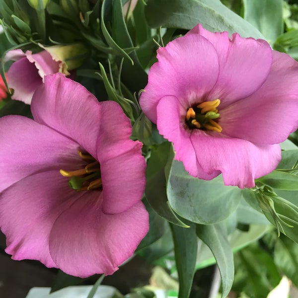 Photos at Longs Drugs Pharmacy in Kaneohe