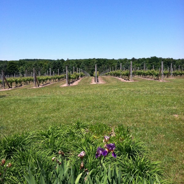 Silver Leaf Vineyard and Winery Winery in Suttons Bay