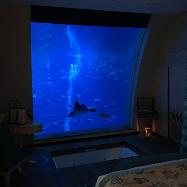 Ocean Suites Sentosa Island 0 Tips