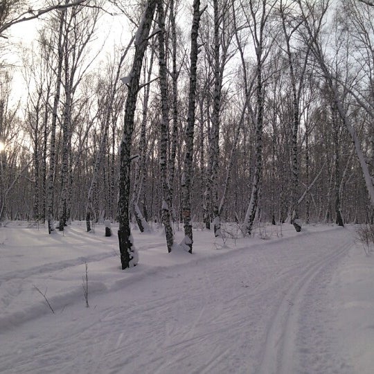 Лыжная база ключи в Академгородке
