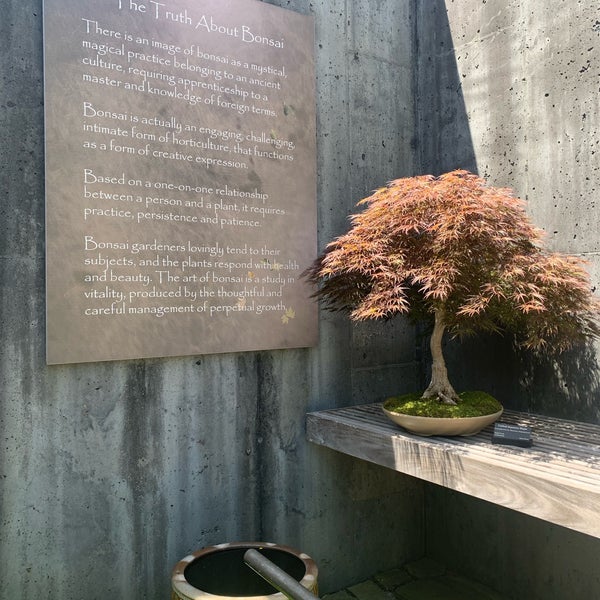 Bonsai Exhibition Garden, North Carolina Arboretum in The North