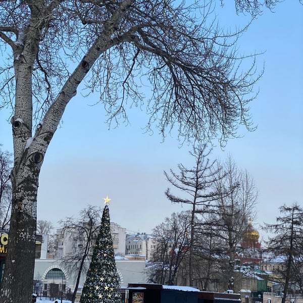 12/22/2021 tarihinde Volodia Shadrinziyaretçi tarafından Hermitage Garden'de çekilen fotoğraf