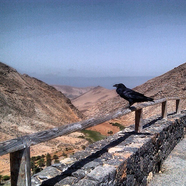 Mirador Risco de las Peñas Mirador paisajístico en Pájara Mirador Risco de las Peñas Mirador paisajístico en Pájara