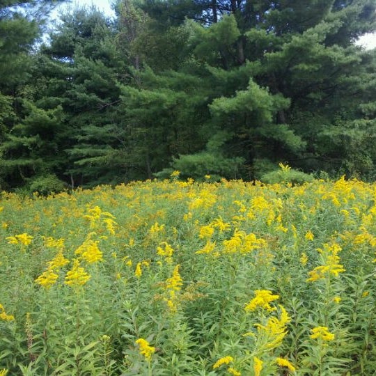 Fountain Pond State Park State or Provincial Park in Great Barrington