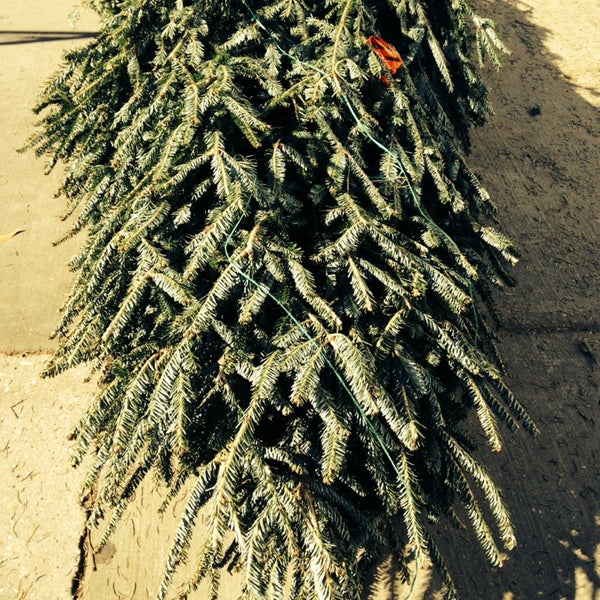 The Home Depot Covington'da Hırdavat Mağazası