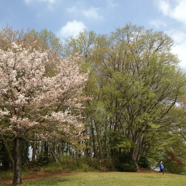 Photos At 東浦和中央公園 緑区 さいたま市 埼玉県