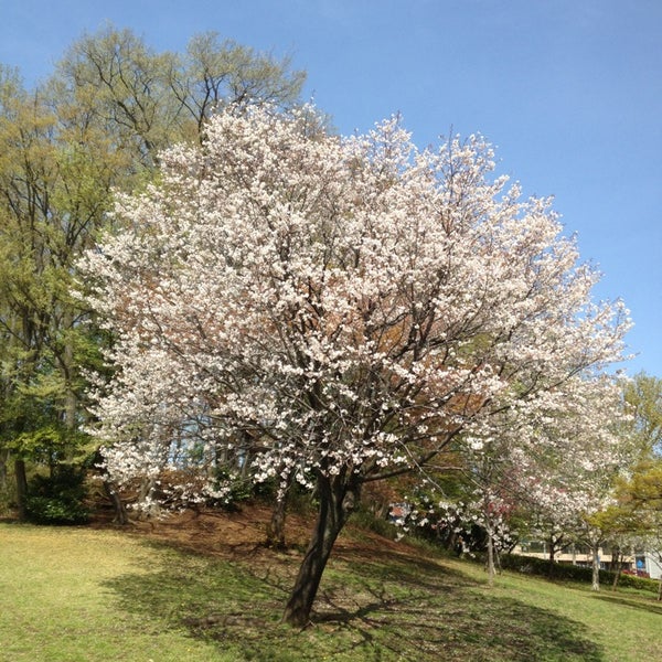Photos At 東浦和中央公園 緑区 さいたま市 埼玉県