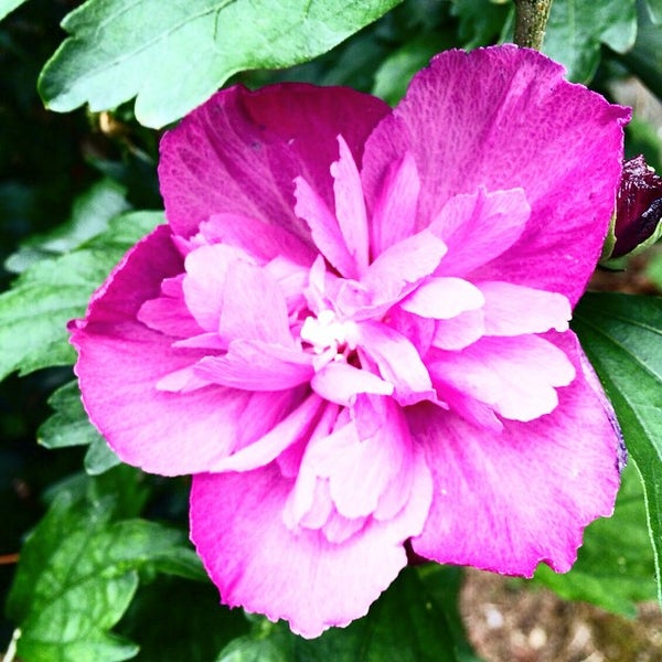 韓国大阪教会 在日大韓基督教 大阪教会 生野区 0 Tips