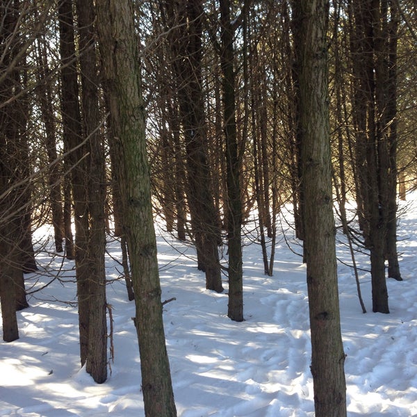 Snyders Flats Bloomingdale, ON