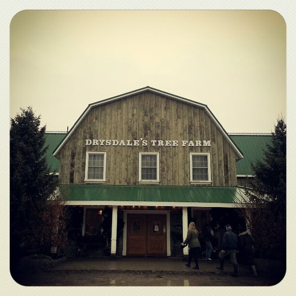 Drysdale's Tree Farm Farm