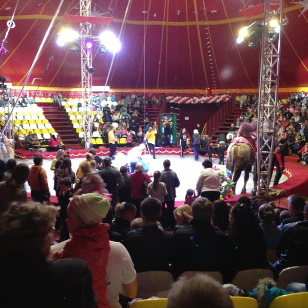 Цирк в смоленске возле макси