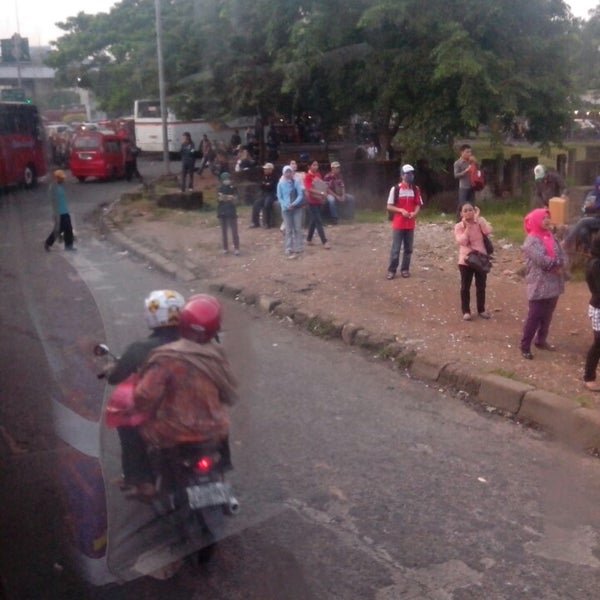 daun kelor dalam perubatan islam   0