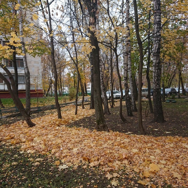 Фото Лосиноостровского Района