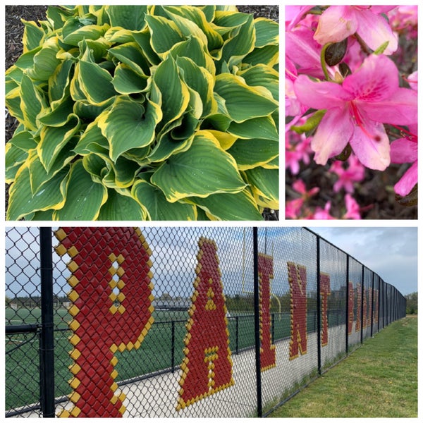 Paint Branch High School Burtonsville, MD