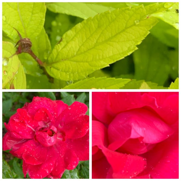 Maryland Center 26 tips from 3046 visitors