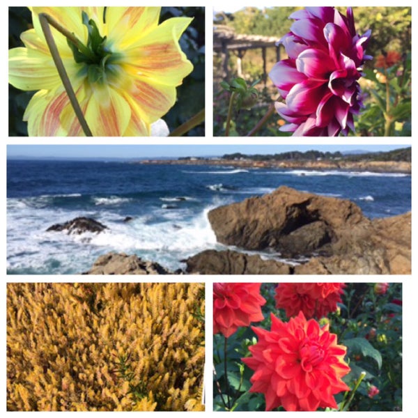 Foto tirada no(a) Mendocino Coast Botanical Gardens por RobH em 10/11/2019