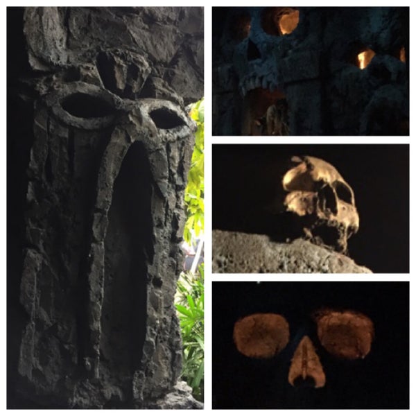 Photos At Skull Island Reign Of Kong Theme Park Ride Attraction