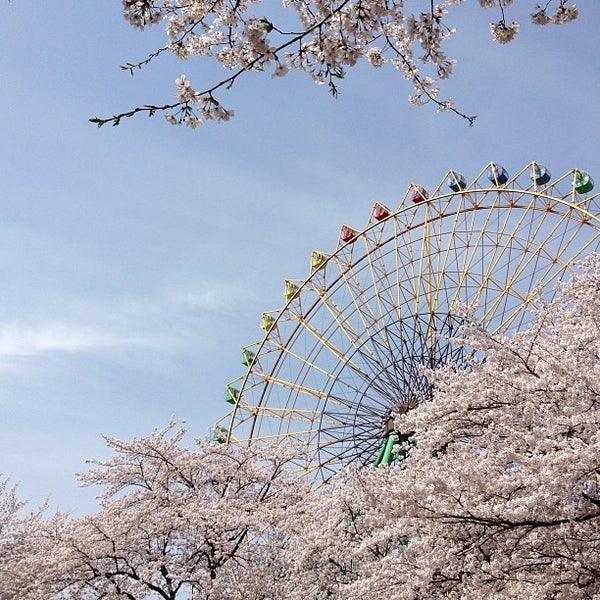 Photos At 華蔵寺公園遊園地 Theme Park In 伊勢崎市